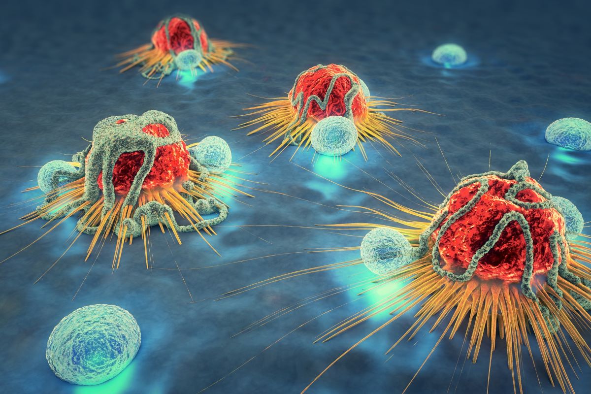 Lymphocytes